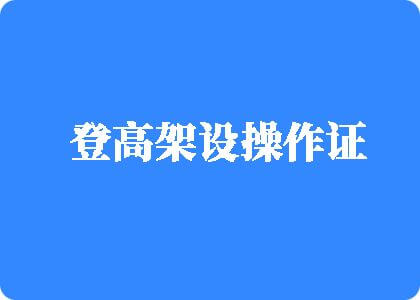 操逼大毛片登高架设操作证